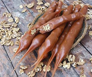 ჩურჩხელა