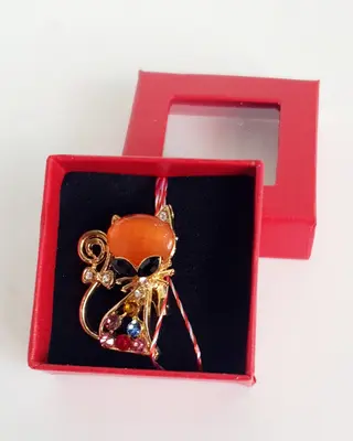Brosa Martisor Pisicuta Orange