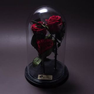 3 trandafiri criogenați roșii în cupolă mare