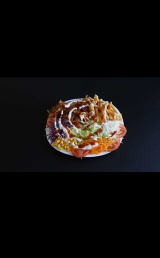 Plato Kebab Solo Carne Mediano 