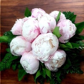 Bouquet 5 Peonie