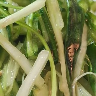 Puntarelle alla romana