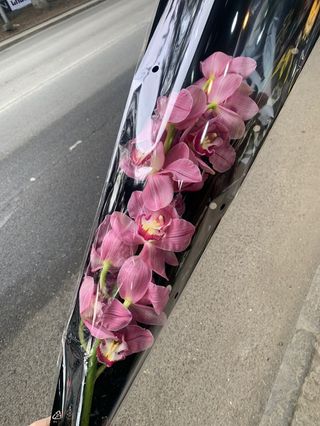 ვარდისფერი  ჰოლანდიური ორქიდეა