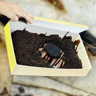 Poffertjes Nutella Oreo