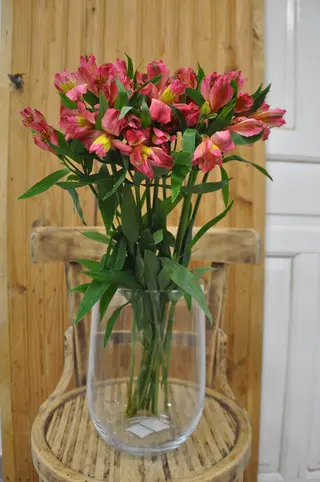 Alstroemeria