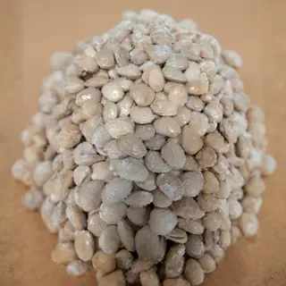 ALMENDRAS FRITAS CON UN PUÑADO DE SAL