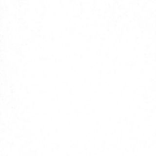 47. Ternera Con Pimienta Negra