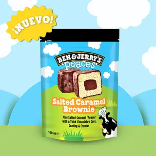 Ben & Jerry's Salted Caramel Brownie Peaces 10 X 16 ml