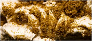 Helado de Speculoos - Lotus 