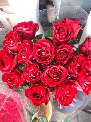 7 Pezzi di Rose rosse extra