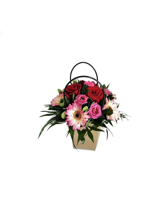 Cosulet Pink 