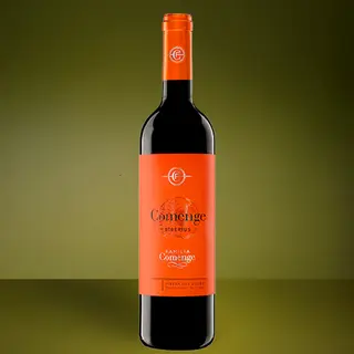 BOTELLA DE VINO TINTO BIBERIUS