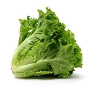Lechuga