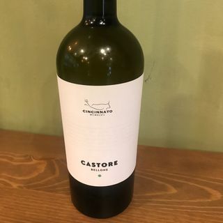 Vino Cincinnato  Castore bianco - grande