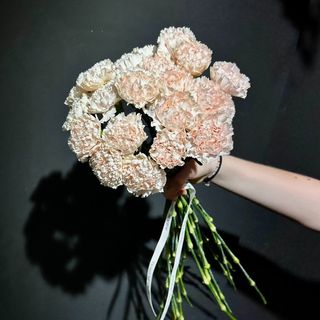 Ramo de 21 Claveles Melocoton