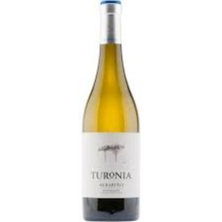 Vino Albariño D.O  (75 cl.)