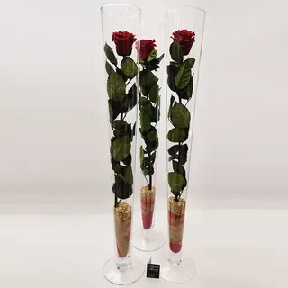 Rosa stabilizzata super extra