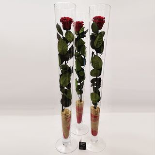 Rosa stabilizzata super extra