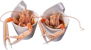 226 Scampi passion fruit 2 pezzi