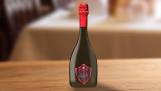 Lambrusco Rosso IGT