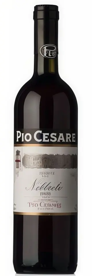 Nebbiolo langhe