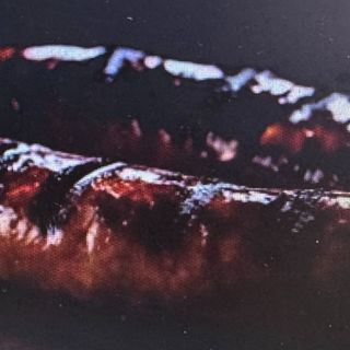 Espetinhos de Salsicha com ananás 