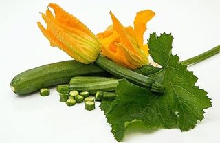 Zucchine chiare fiore 500 gr