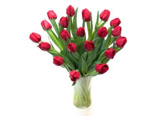 Червени Лалета 19 Бр