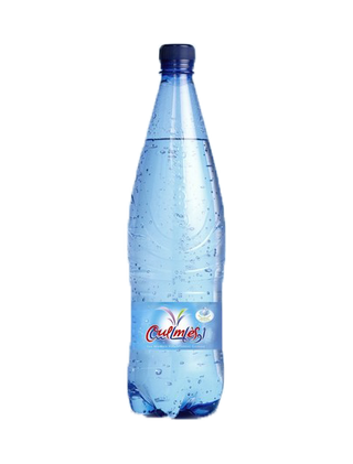 Eau gazeuse 1 litre