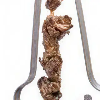 Manzo