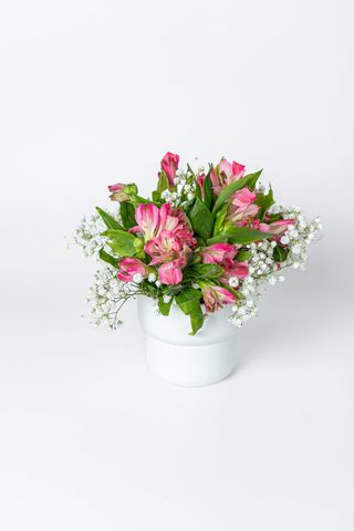 Douceur Florale
