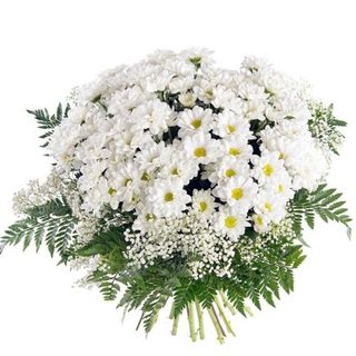 Ramo De Margarita Blanca Con Paniculata