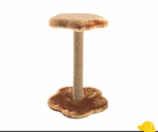 Когтеточка грибок