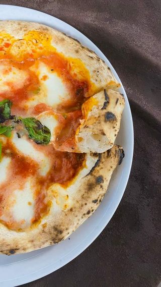 Margherita