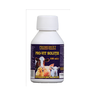 Complex vitaminic buvabil Pro-Vit 100 ml