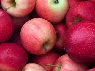 ЯБЛУКО (100 g)