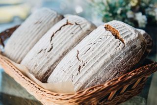 ბოროდინო