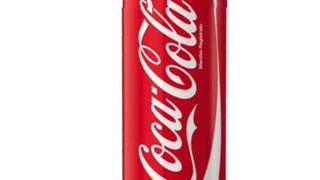 Coca-Cola Lattina 330 ml