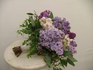  იასამანი ევკალიპტი