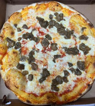 Porcini e mozzarella