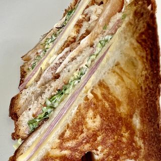 Sándwich Especial
