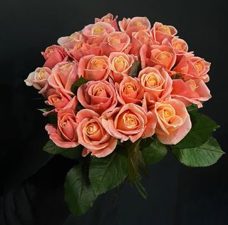 25 троянд Міс Піггі під стрічку №25