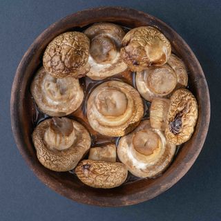 სოკო კეცზე