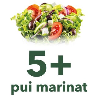 Salata 5 + Pui