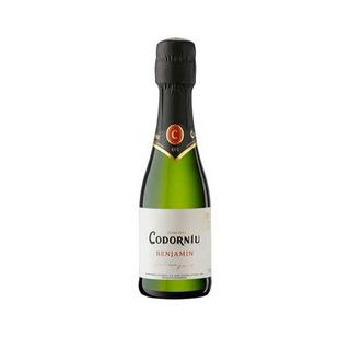 Benjamin Codorniu 20cl