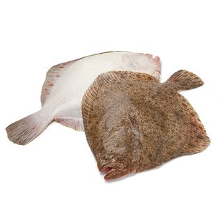 Rodaballo Limpio Entero 1 Kg.