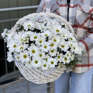 Kosz z BIAŁĄ CHRYZANTEMĄ