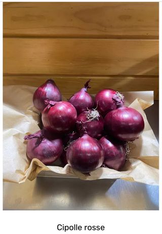 Cipolle rosse Italia 500 g