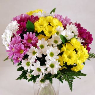 RAMO DE MARGARITAS  VARIADAS