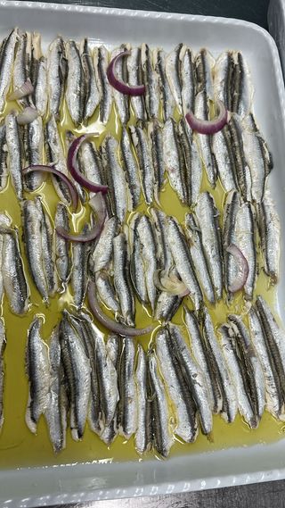 Alici marinate